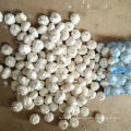 Свежий чистый белый чеснок Китай происхождения (5.0cm и выше)